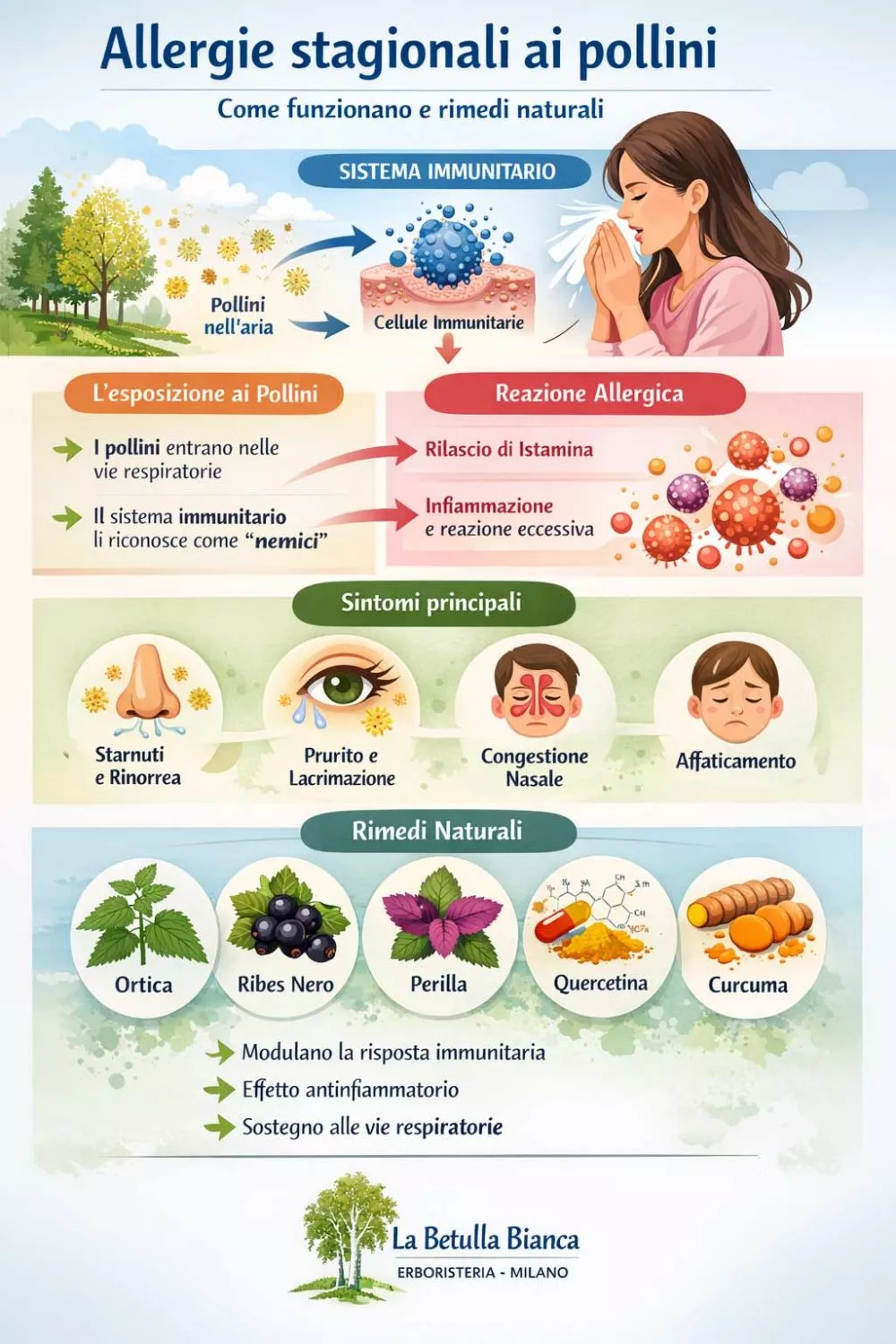 infografica sistema immunitario allergia ai pollini