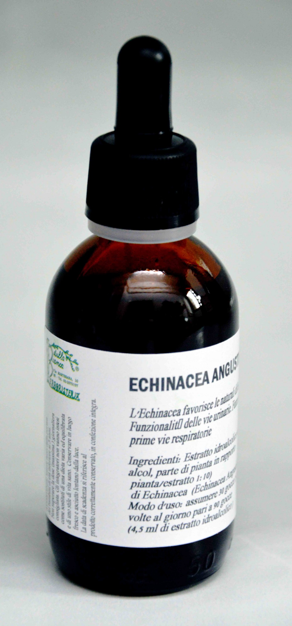 Echinacea