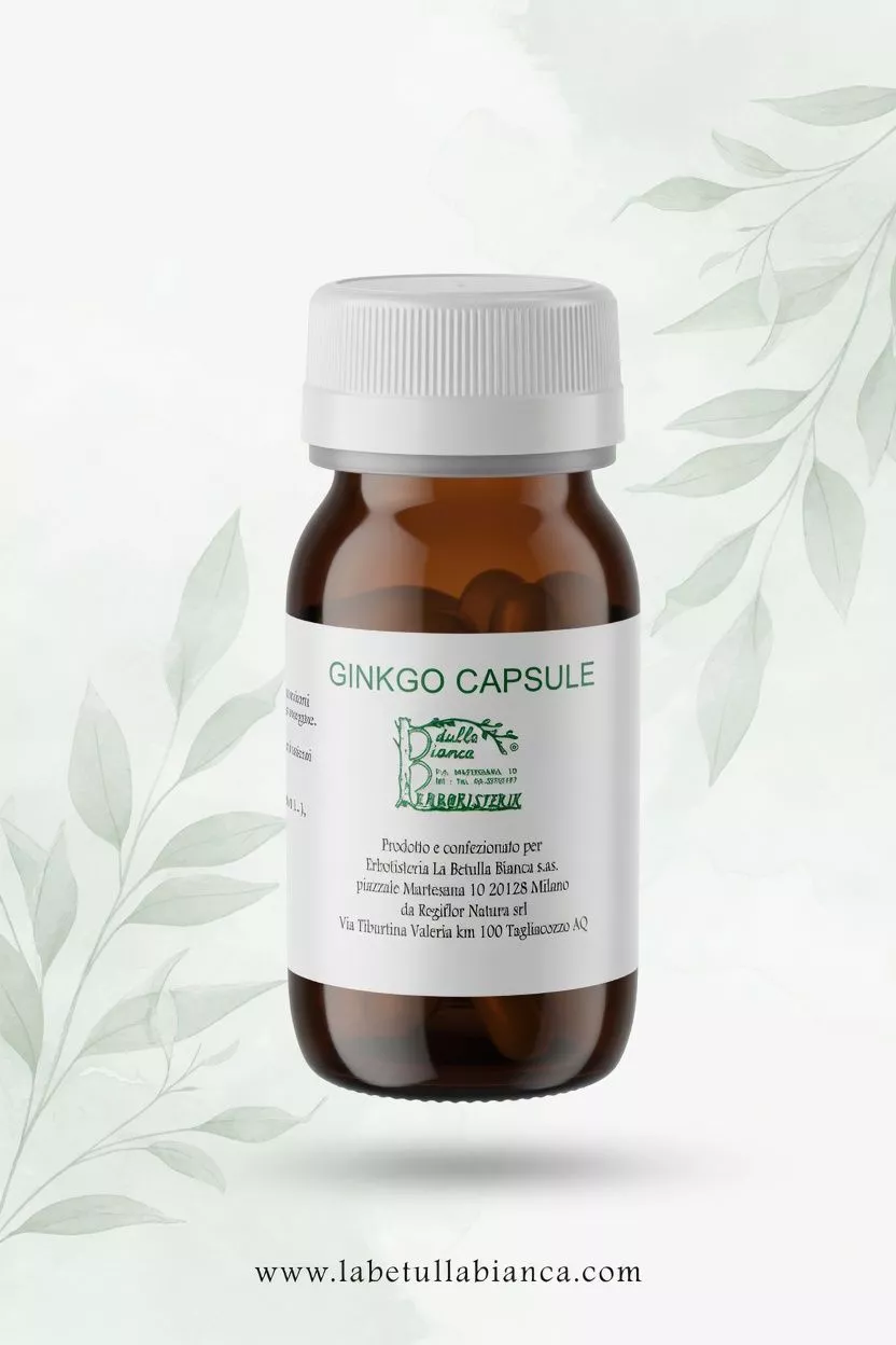 Ginkgo Biloba capsule per memoria concentrazione microcircolo e acufeni