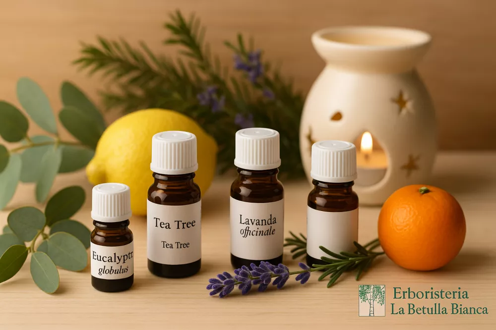 Olii essenziali - La Betulla Bianca