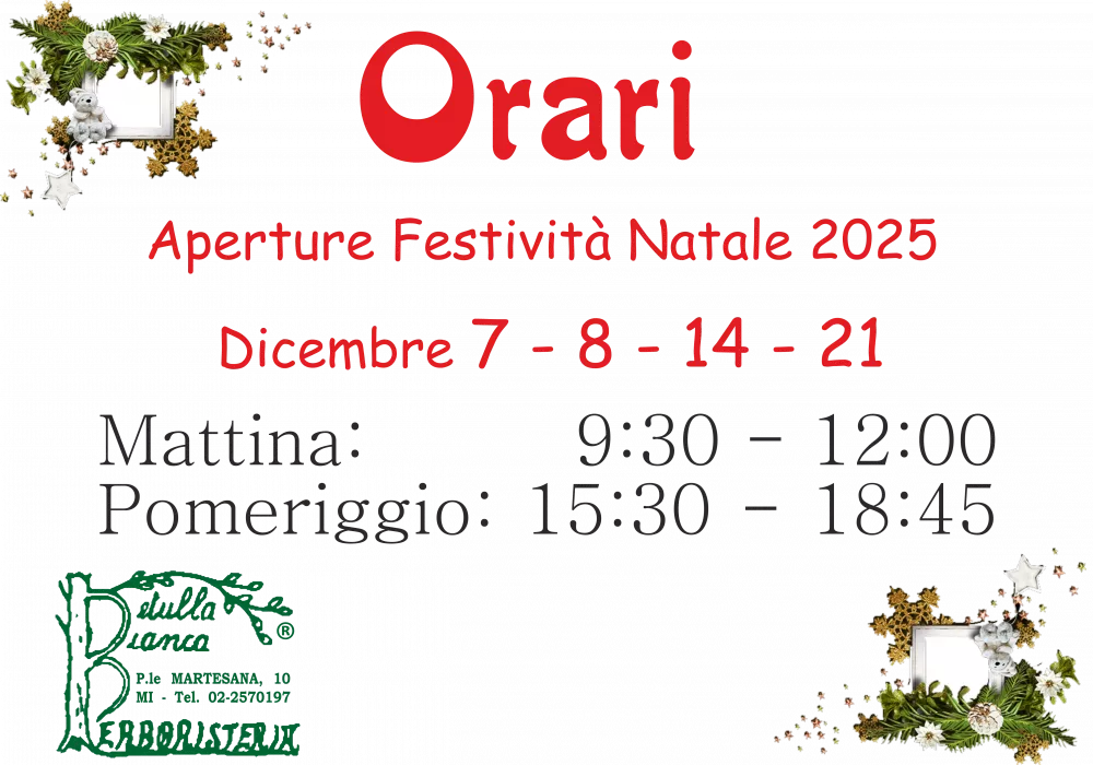 Orari festività natalizie 2025