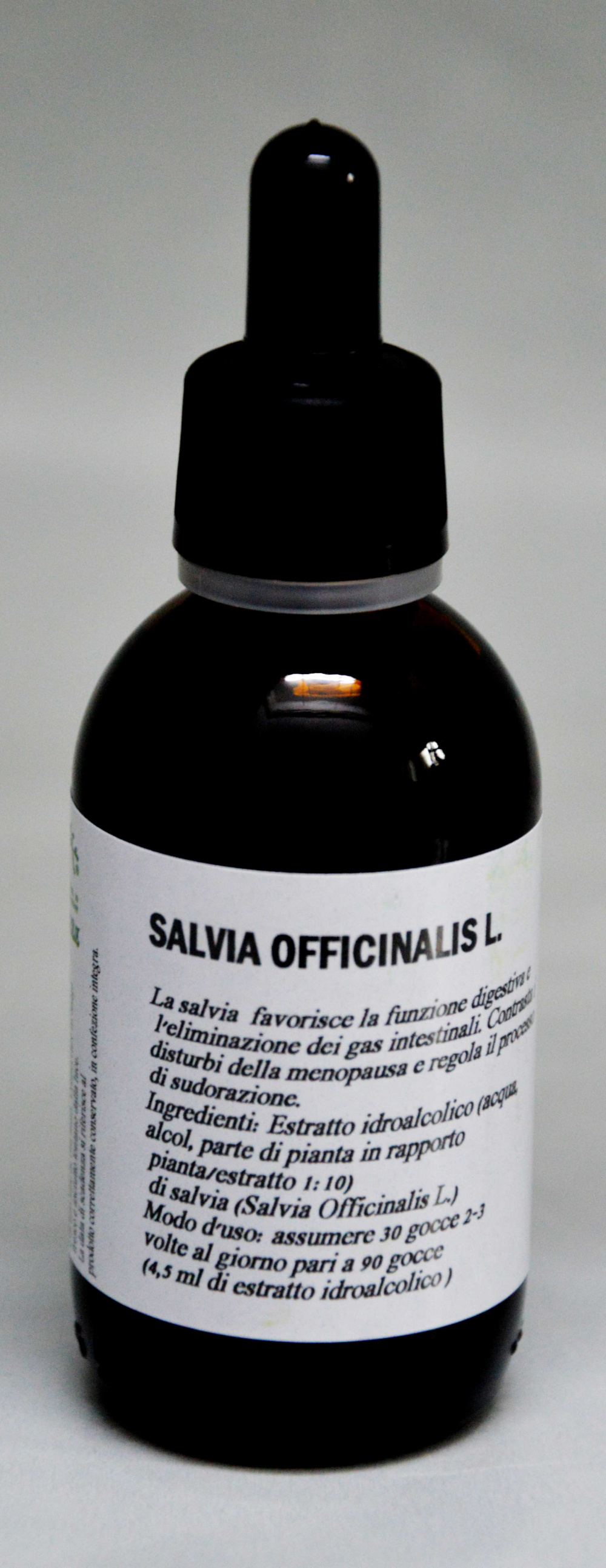 Salvia officinalis