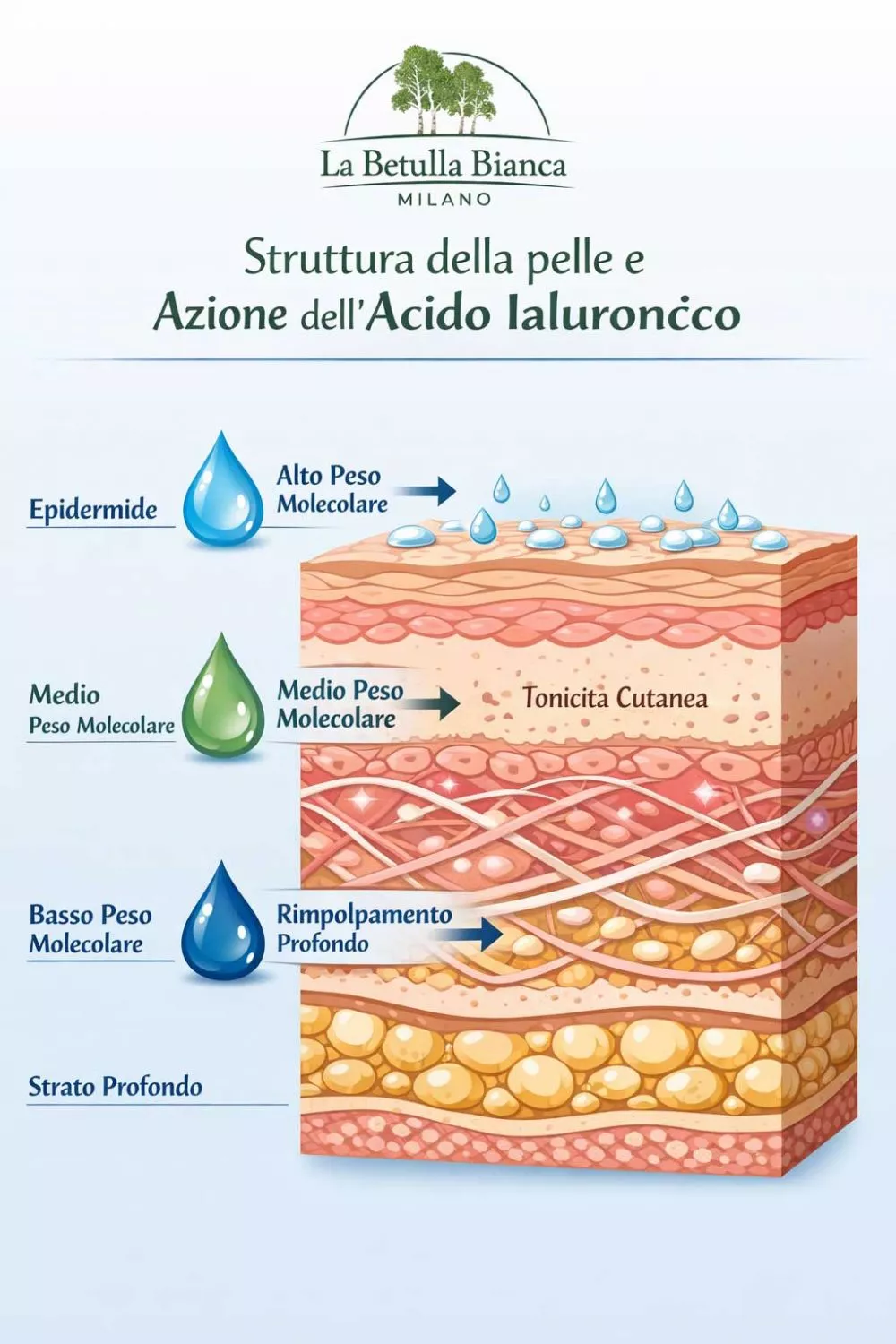 Texture del siero viso all'Acido Ialuronico Bio da applicare su viso e collo