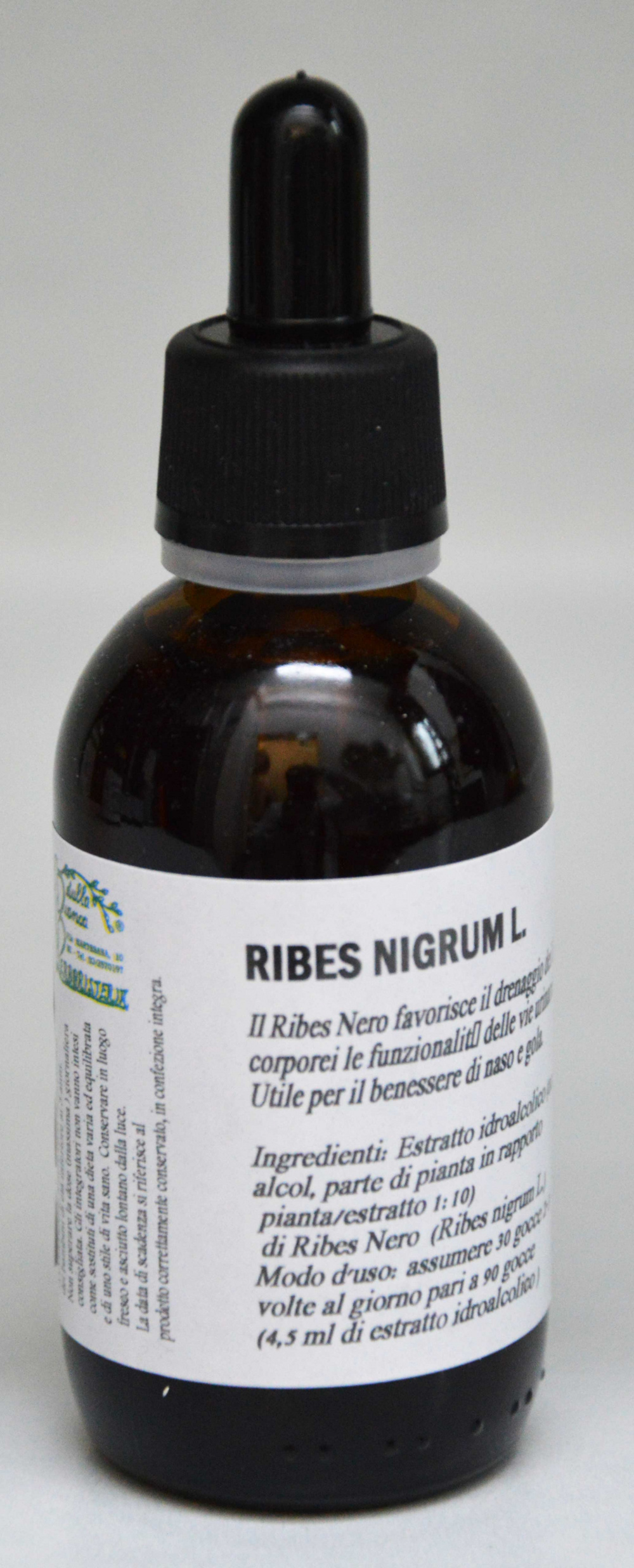 Ribes nero estratto